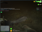 Screenshot_5.png