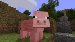 minecraft-pig.jpg