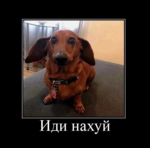 C893B4F9-938C-4584-969D-7F37E2C3EE0C.png