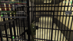 Screenshot_8.png