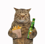 132529