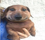 132535