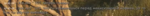 134539