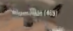 137098