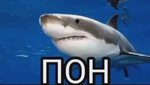 maxresdefault.jpg