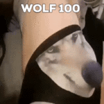 151684