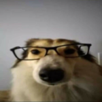 160260