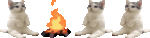 169651