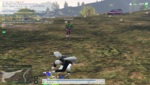 image (13).png