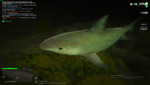 Grand Theft Auto V_2023.12.13-18.16_1.png