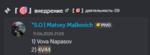 229446