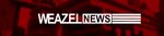 Weazel News.jpg