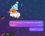 IMG_2381.jpeg