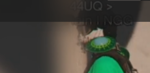 232444