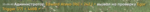 238840