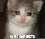 52726