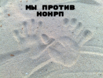 1617806644937.png