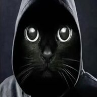 QlvlQ