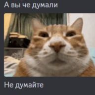 Egor_Polovnev