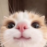 Пиксельный блокнотик