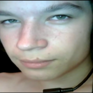 dima231