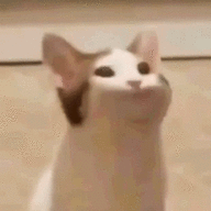 npoctou_top4uk