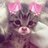 Lindy
