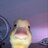Jeembo_Marlow