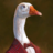 Goose_Marlboro